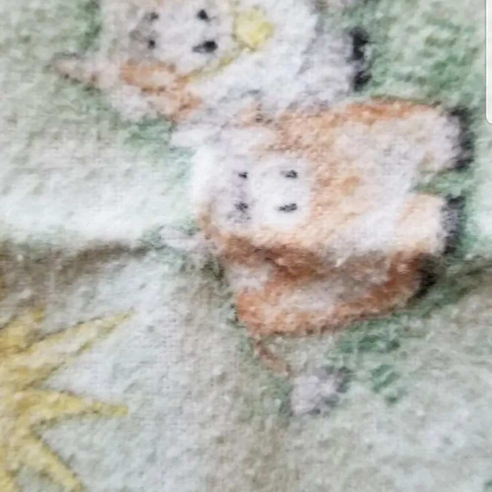 Western teddy bear fleece blanket mint green